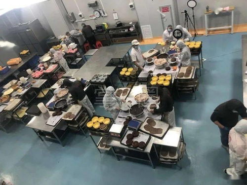 惠東蕉田食品廠 包吃住的觸控產(chǎn)品生產(chǎn)新篇章